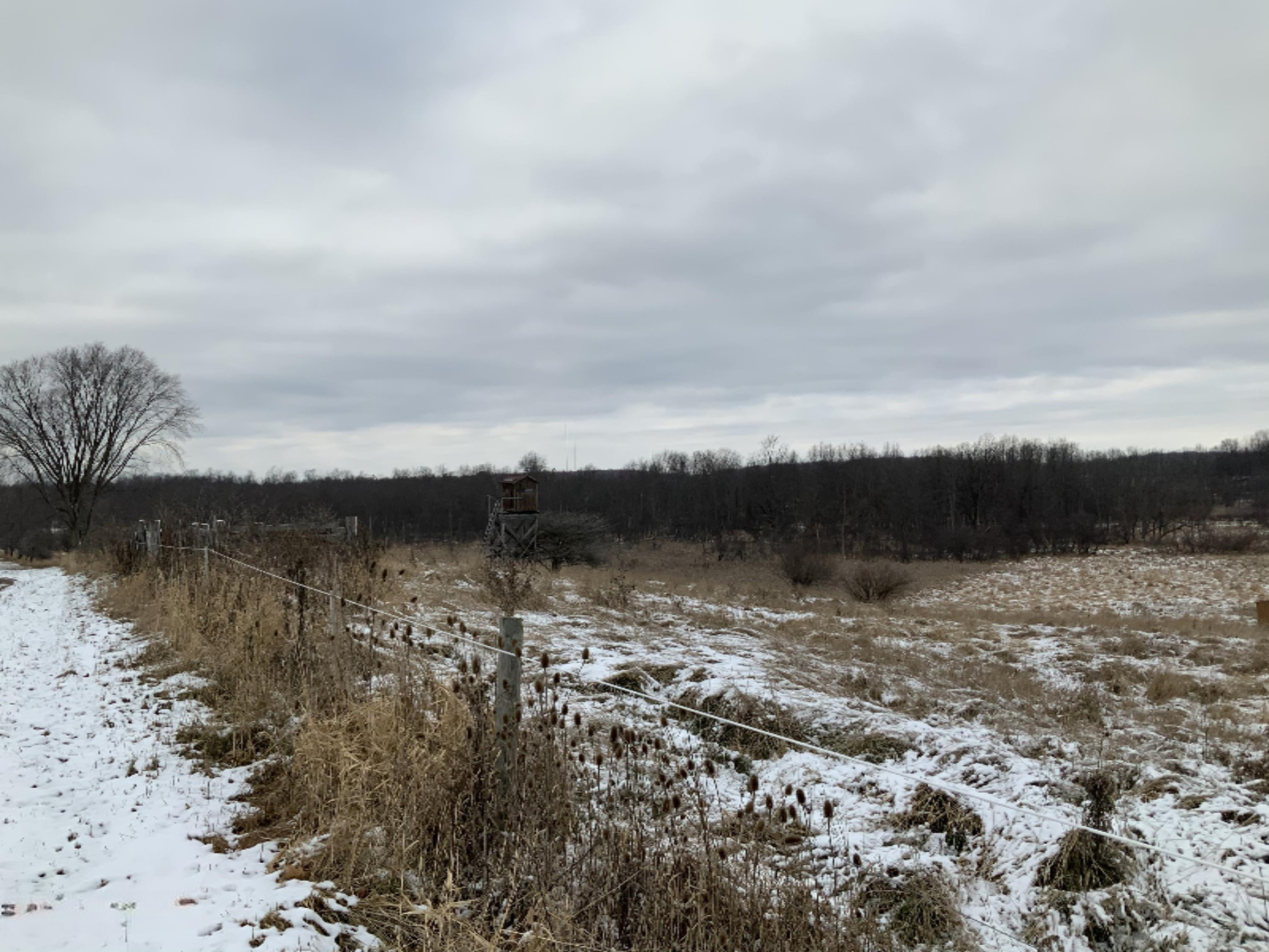 2085 North Canada Road Bailey, MI 49303 - Photo 25 of 30 20BE13ED-B81D-4369-BF67-4DE7F85D8684