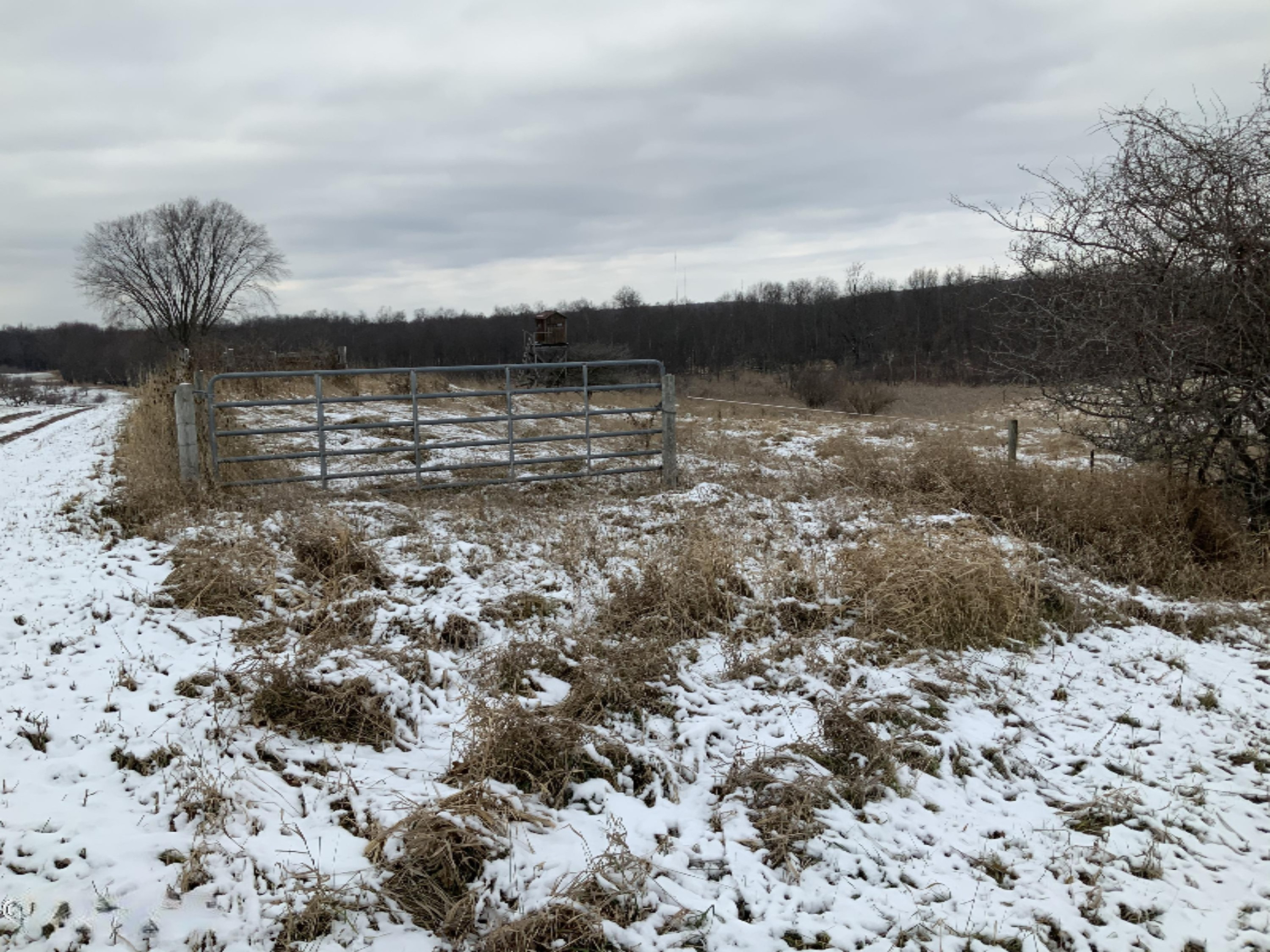 2085 North Canada Road Bailey, MI 49303 - Photo 27 of 30 6D652F06-A9C7-4BB2-8E22-BC884C163C4D