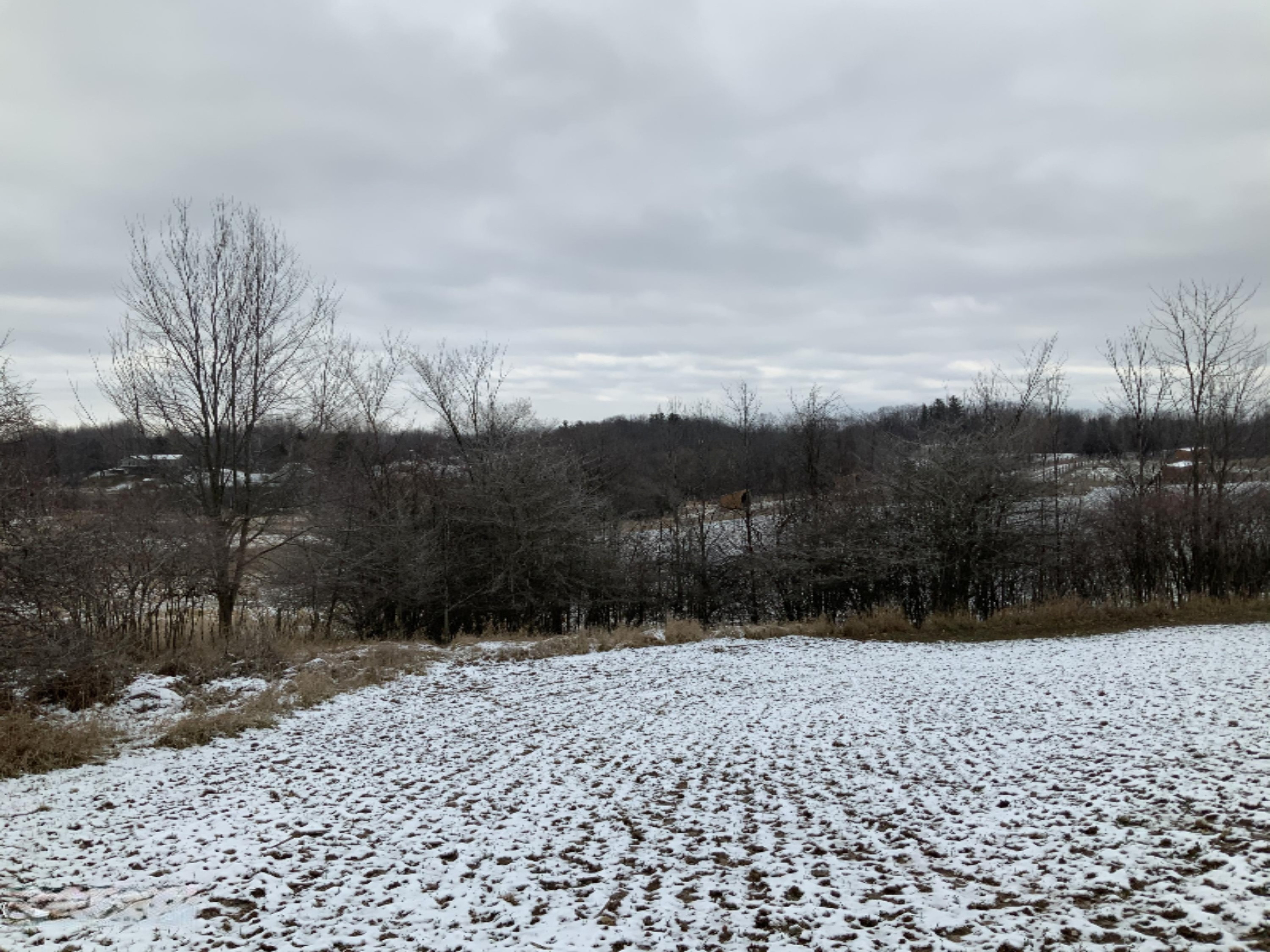 2085 North Canada Road Bailey, MI 49303 - Photo 28 of 30 30CD005F-98A9-41EF-A9B5-2D0AB6B26EC6