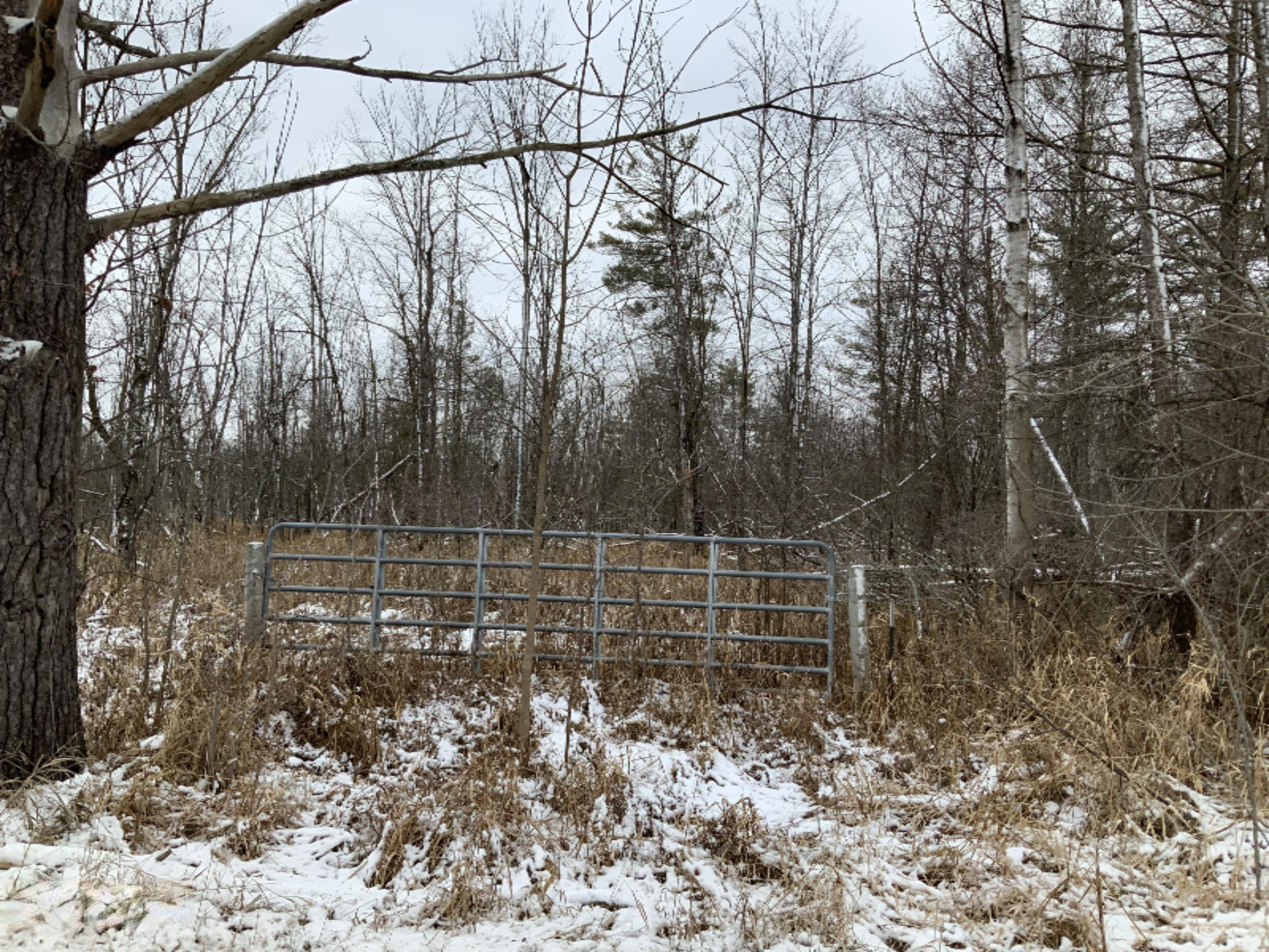 2085 North Canada Road Bailey, MI 49303 - Photo 10 of 30 6C53A89F-758C-4C14-9155-AE7DFD76774D