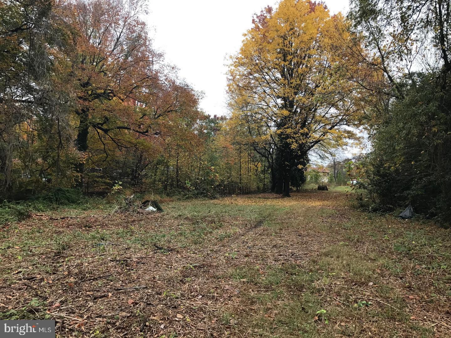 4411 Largo Road Upper Marlboro, MD 20772 - Photo 12 of 12 a view of a yard with a tree