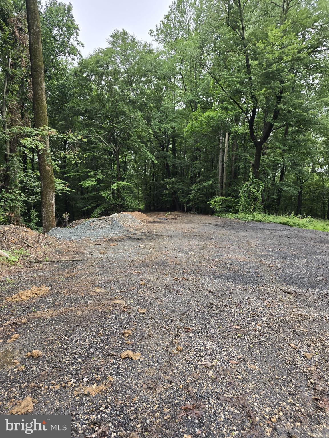 4411 Largo Road Upper Marlboro, MD 20772 - Photo 4 of 12 a backyard of a house with lots of green space