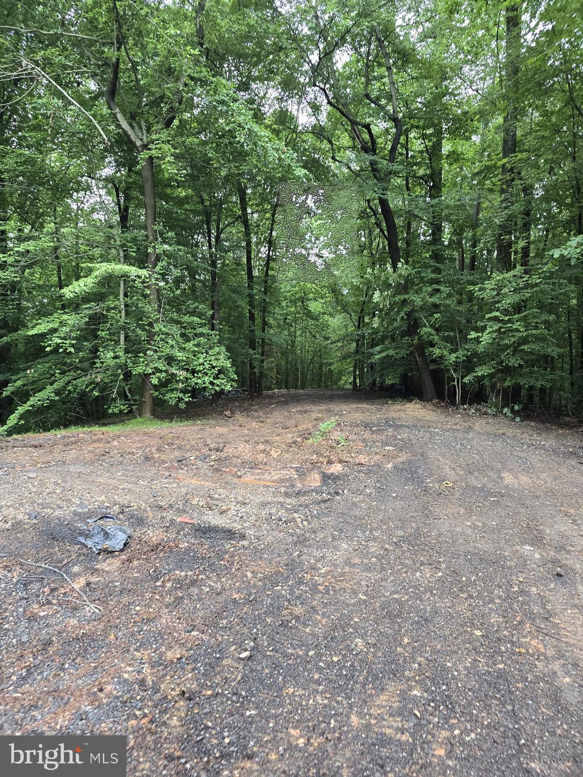 4411 Largo Road Upper Marlboro, MD 20772 - Photo 5 of 12 a view of a field with trees in the background