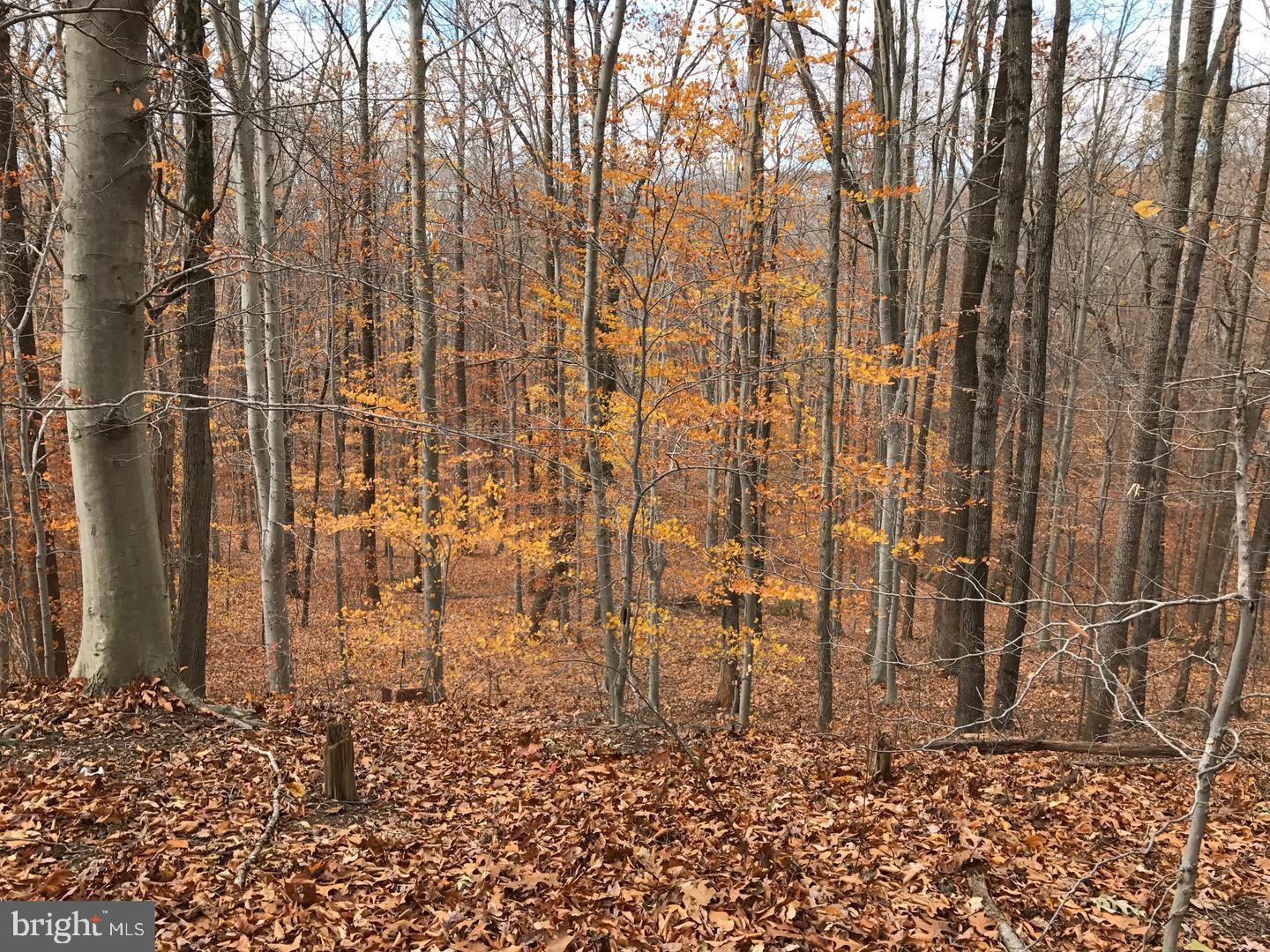 4411 Largo Road Upper Marlboro, MD 20772 - Photo 7 of 12 a view of a pathway with a yard