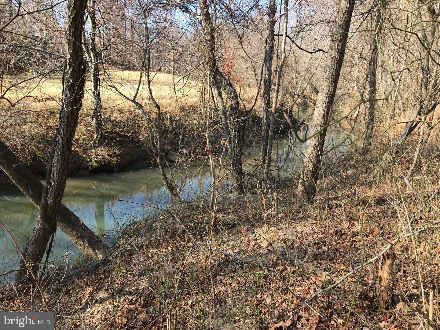 4411 Largo Road Upper Marlboro, MD 20772 - Photo 8 of 12 a backyard of a house with lots of green space