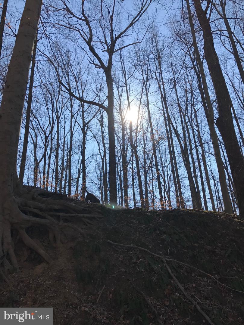 4411 Largo Road Upper Marlboro, MD 20772 - Photo 9 of 12 a view of outdoor space
