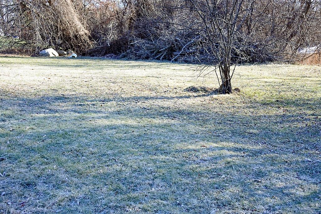226 Mussey Street Rutland, VT 05701 - Photo 12 of 40
