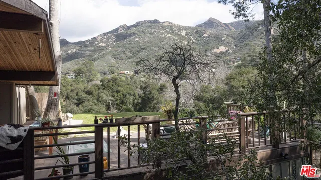 a view of a yard with plants and large trees