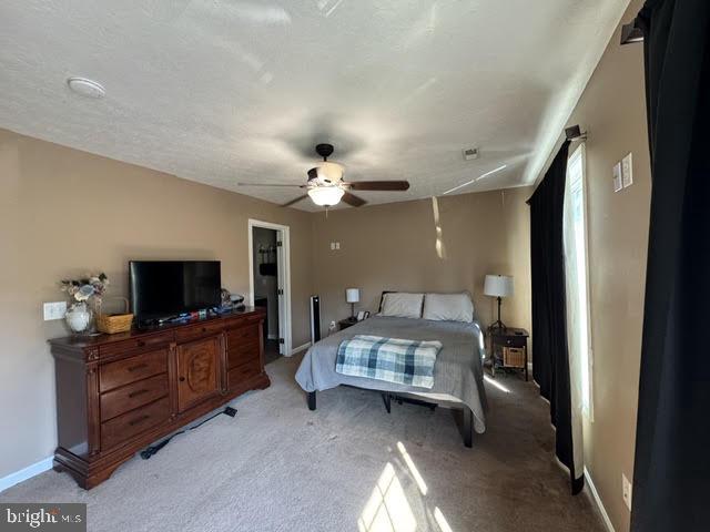 780 Lower Valley Road Strasburg, VA 22657 - Photo 11 of 25 Master Bedroom