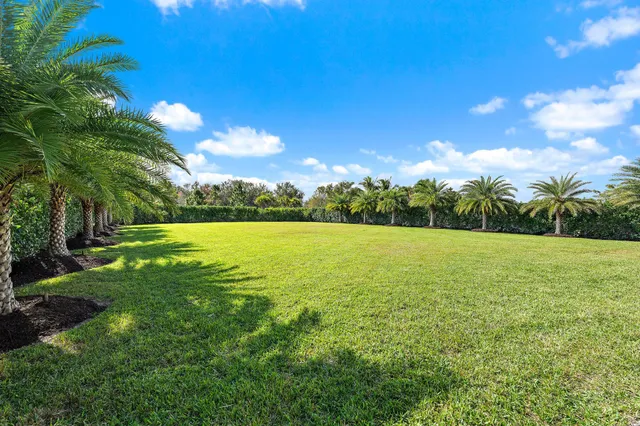 a front view of a house with a yard and road