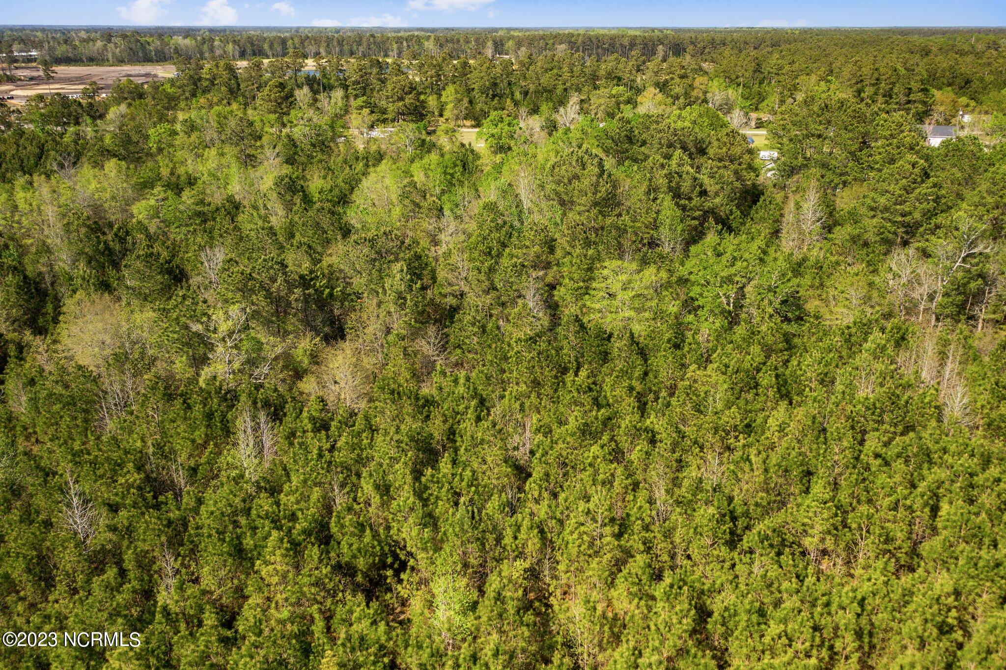 2304 Smithtown Road Southeast Bolivia, NC 28422 - Photo 13 of 22 13-web-or-mls-DJI_0250