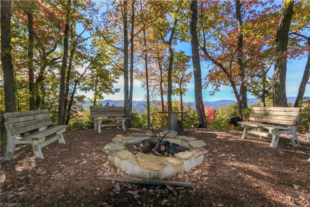 2701 Buck Mountain Road Purlear, NC 28665 - Photo 28 of 30