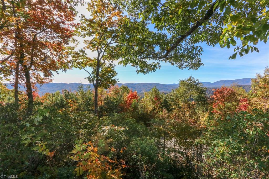 2701 Buck Mountain Road Purlear, NC 28665 - Photo 29 of 30