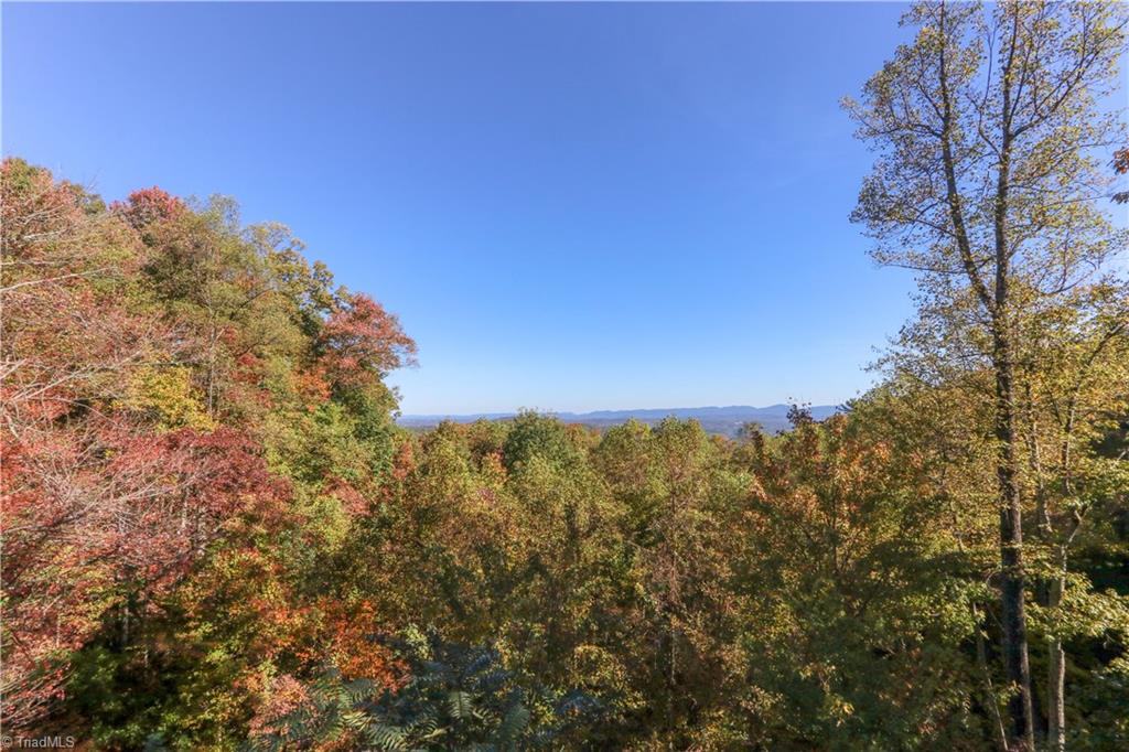 2701 Buck Mountain Road Purlear, NC 28665 - Photo 30 of 30