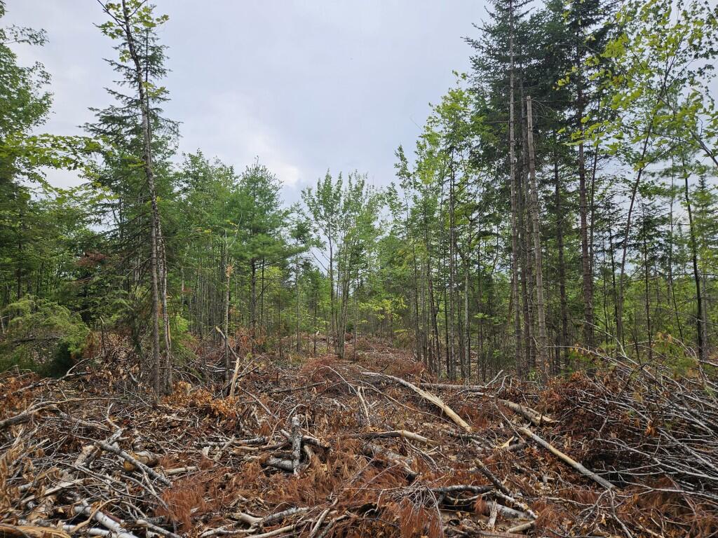 22-03 Rowell Mountain Road Solon, ME 04979 - Photo 30 of 55 20260721_155226