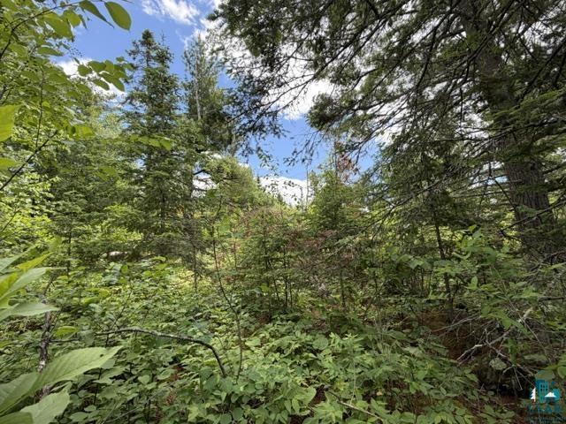 Tbd Trezona Road Ely, MN 55731 - Photo 7 of 22