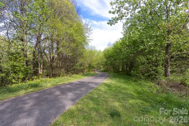a view of a yard with plants and large trees