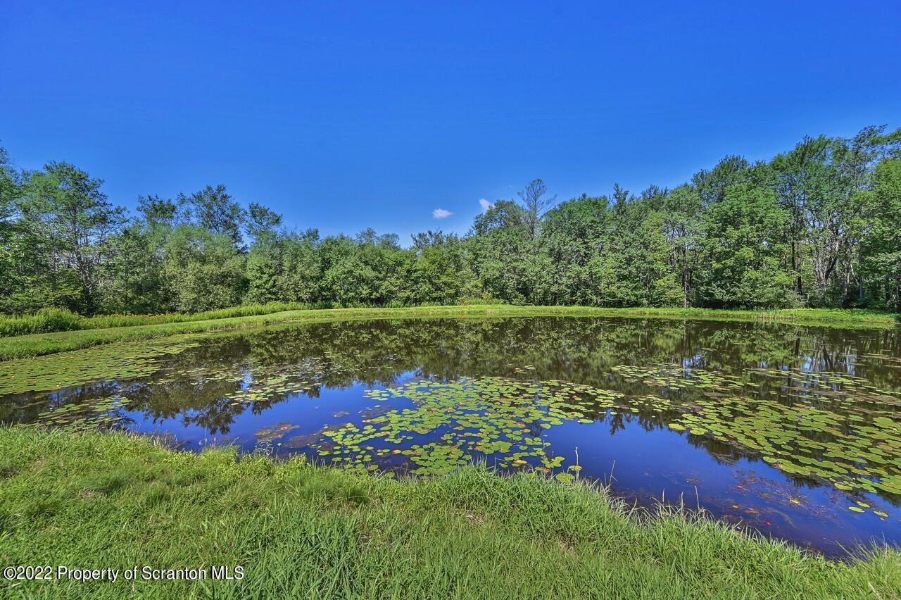 2181 Becks Crossing Road Moscow, PA 18444 - Photo 56 of 70 a view of lake from a yard
