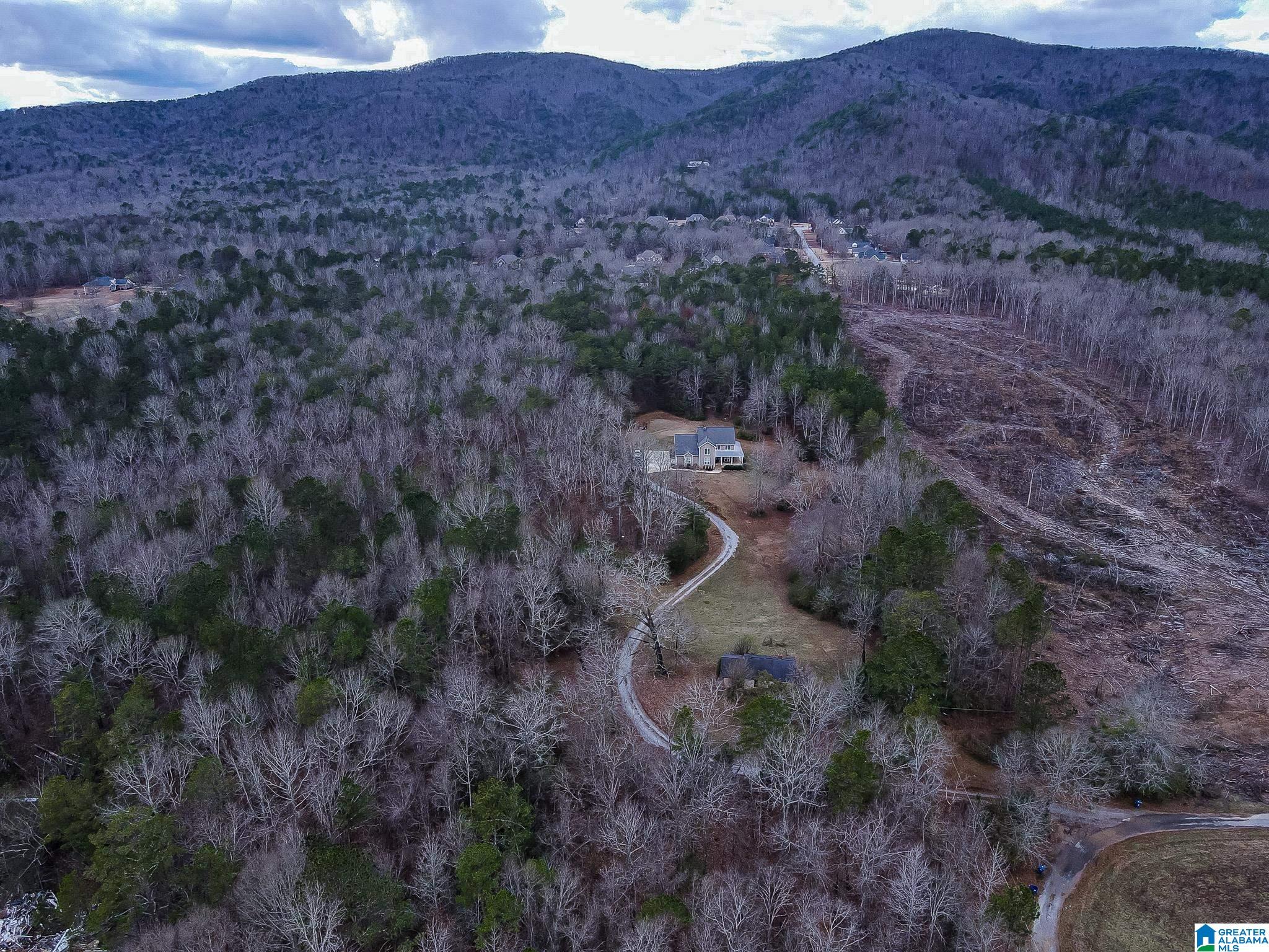 766 Antioch Road Anniston, AL 36207 - Photo 43 of 47