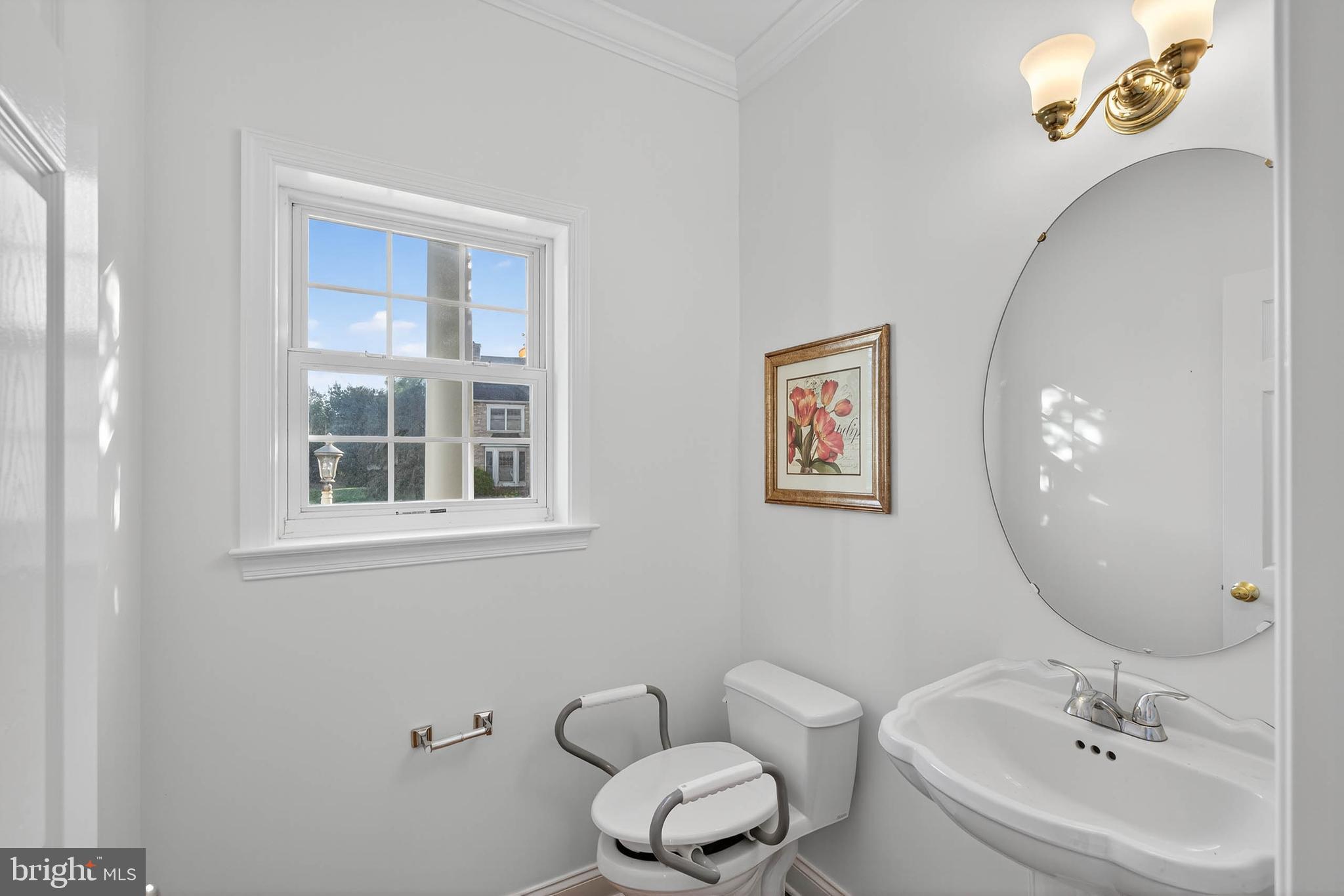 304 Cobblers Court Lititz, PA 17543 - Photo 19 of 50 a bathroom with a toilet a sink and mirror