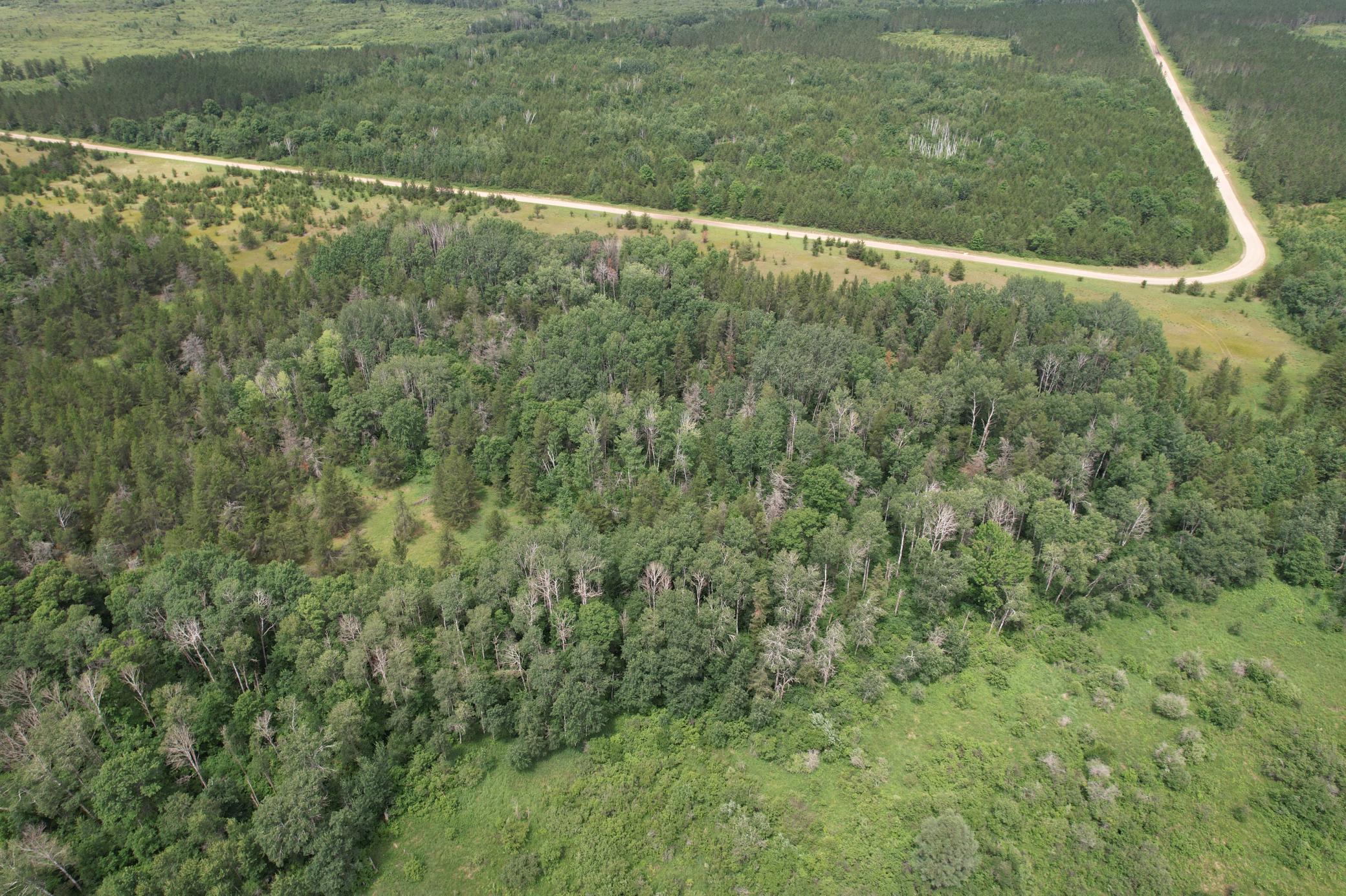 Tbd 350th Street Sebeka, MN 56477 - Photo 7 of 100