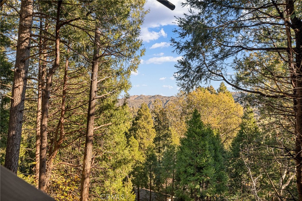 999 Mercury Way Crestline, CA 92325 - Photo 38 of 46