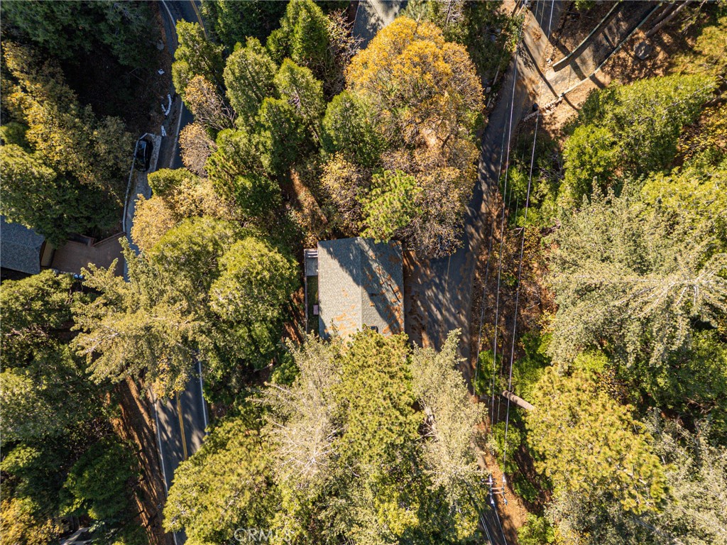 999 Mercury Way Crestline, CA 92325 - Photo 40 of 46