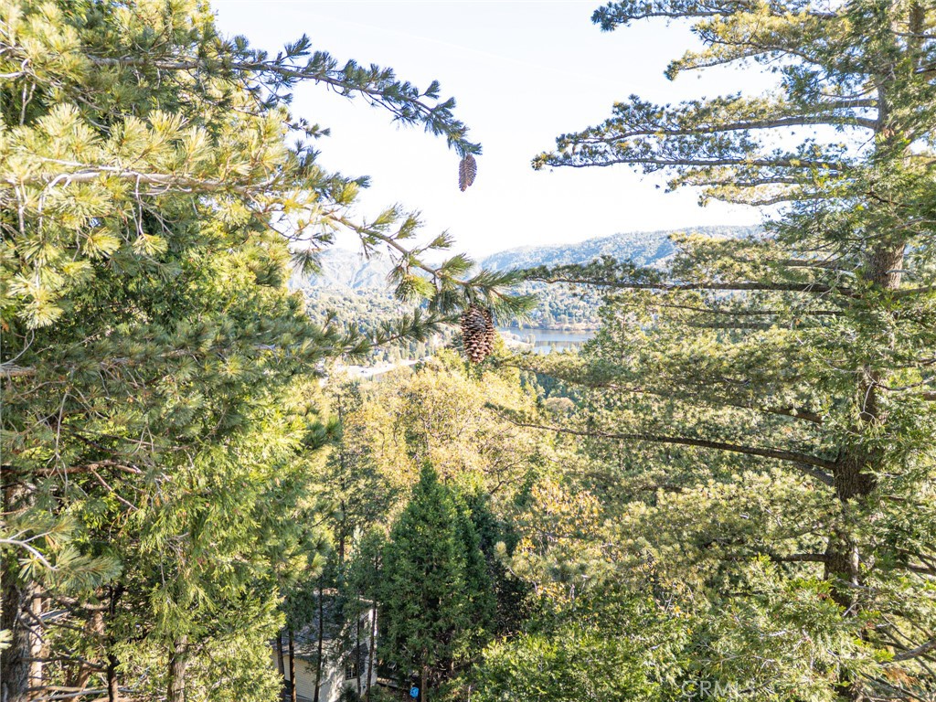 999 Mercury Way Crestline, CA 92325 - Photo 43 of 46