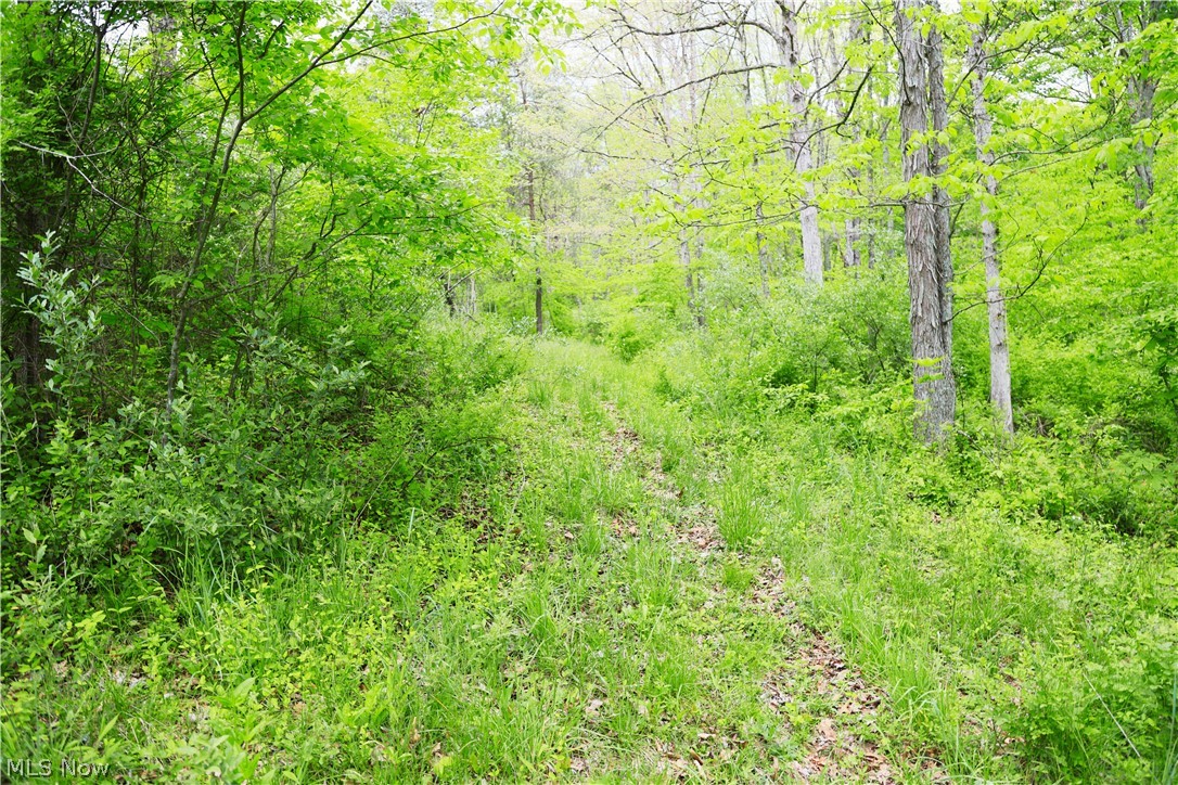 Morganville Rd Road Malta, OH 43758 - Photo 21 of 42