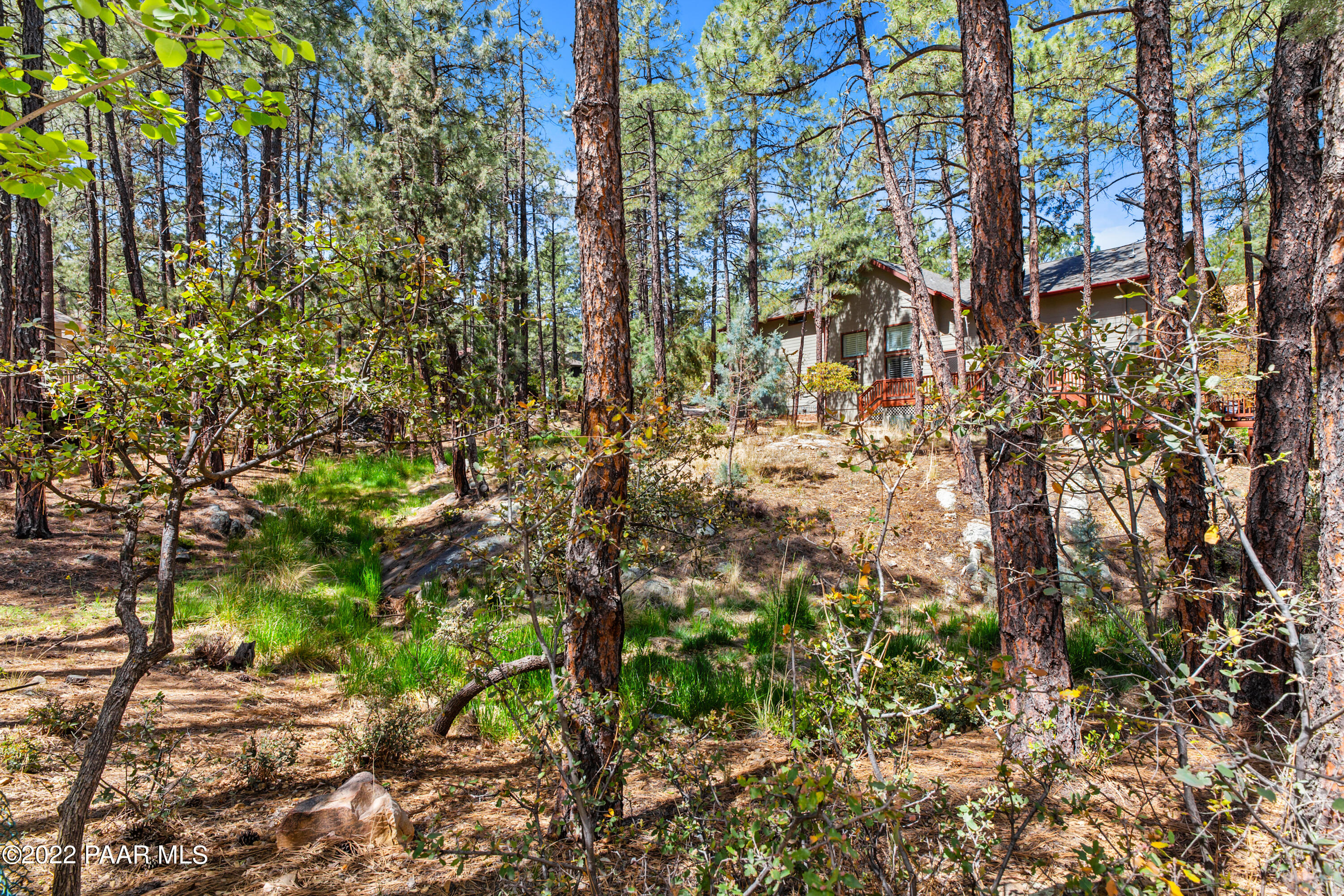 1887 Timber Point East Prescott, AZ 86303 - Photo 27 of 31 Seasonal Creek