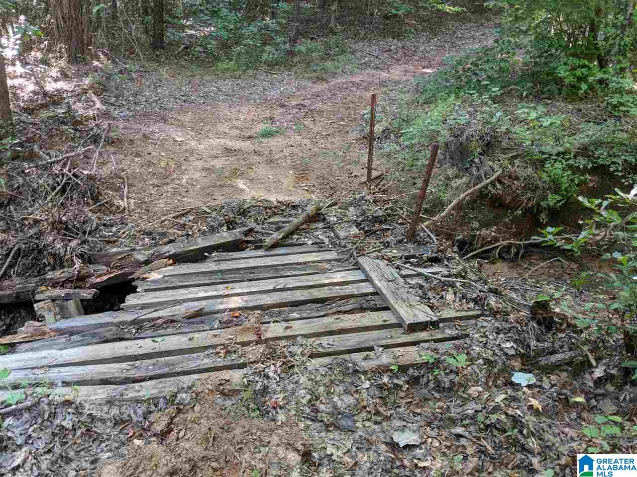 0 County Road 26 Wadley, AL 36276 - Photo 12 of 17