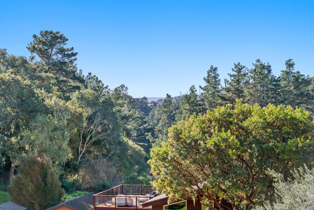 60 Robak Drive La Selva Beach, CA 95076 - Photo 11 of 44 a view of a city with lush green forest