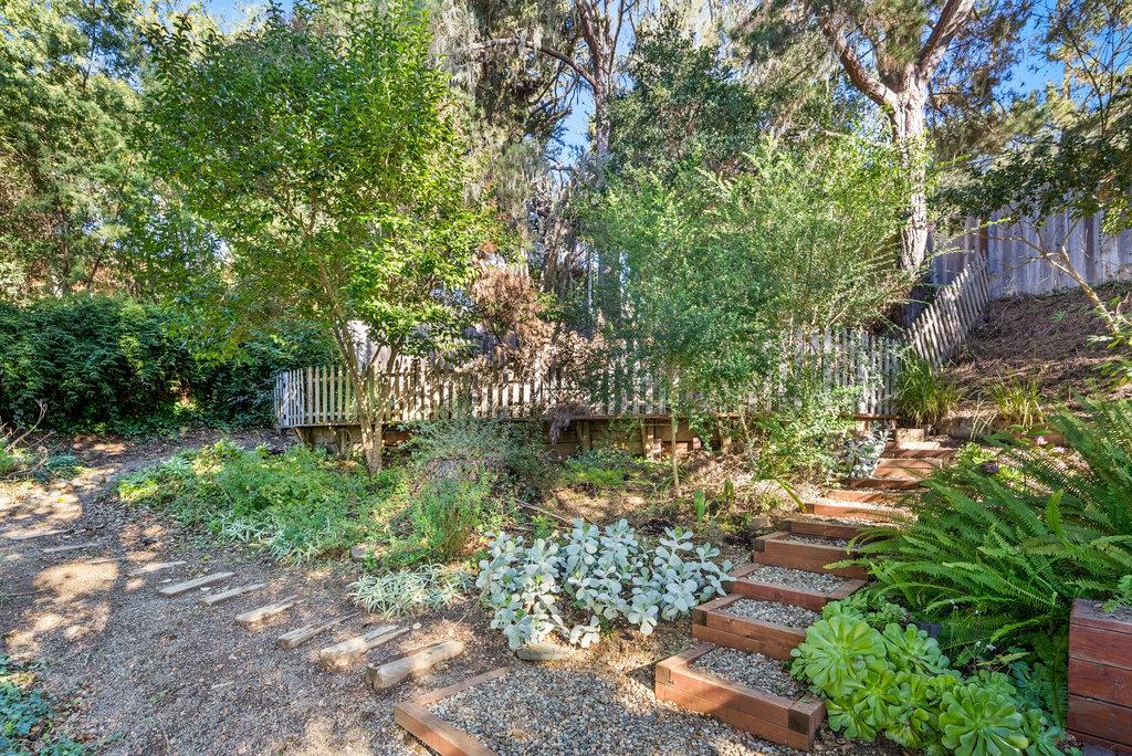 60 Robak Drive La Selva Beach, CA 95076 - Photo 35 of 44 a view of a garden with plants and large trees