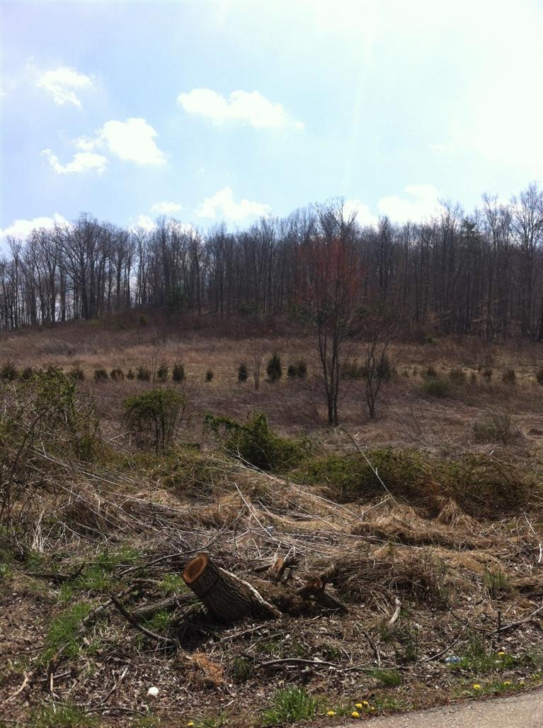 1 Pergram Road Owingsville, KY 40360 - Photo 1 of 2 Photo 1