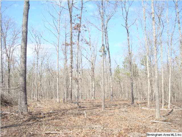 1180 Thompson Road, Unit 39 ACRES Ohatchee, AL 36271 - Photo 5 of 16