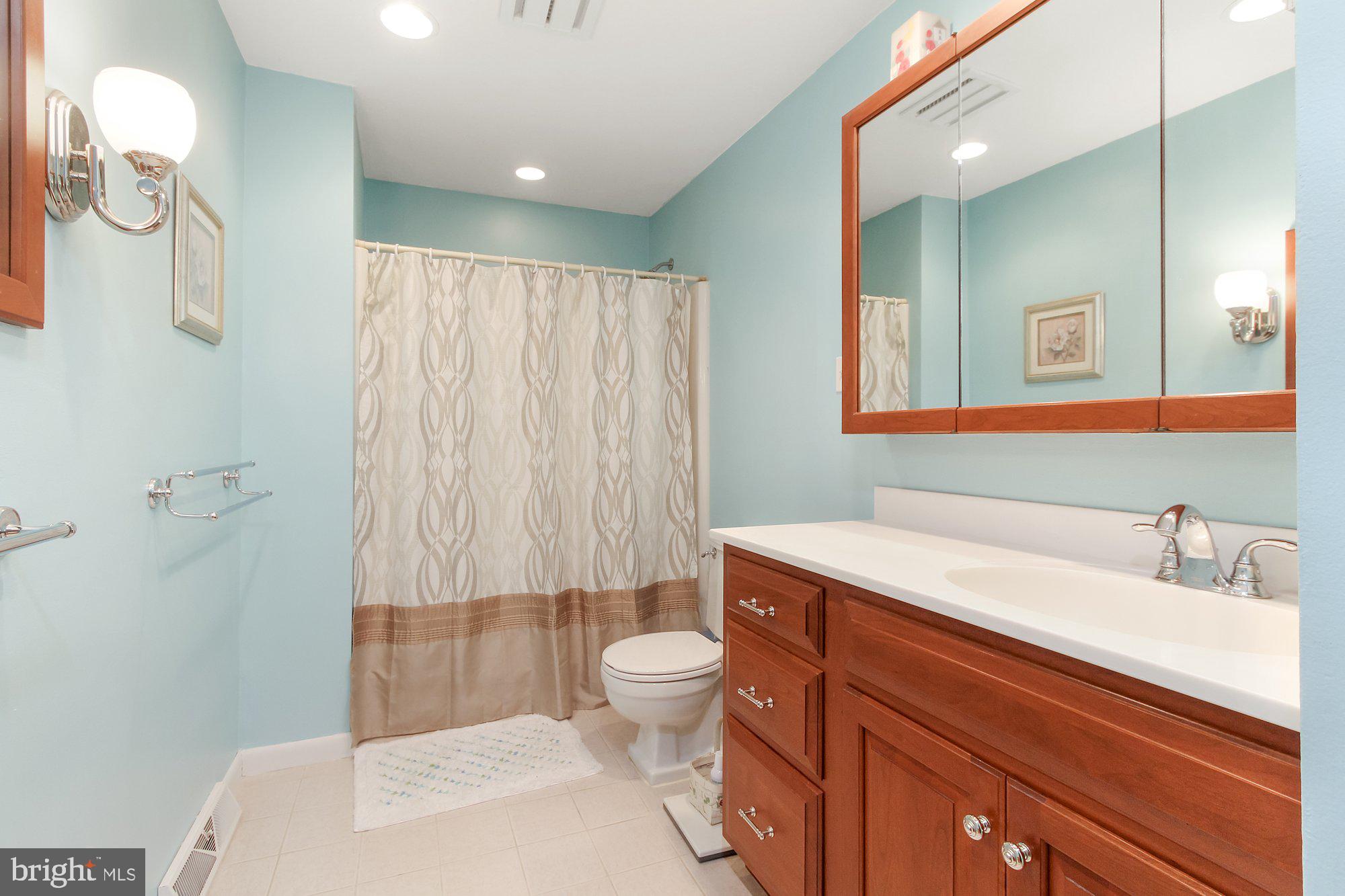 3380 Kingston Road York, PA 17402 - Photo 15 of 34 Large Bathroom