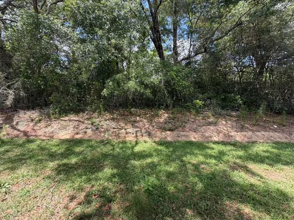 $2,100 | 47 South Main Deck Drive, Freeport, FL 32439