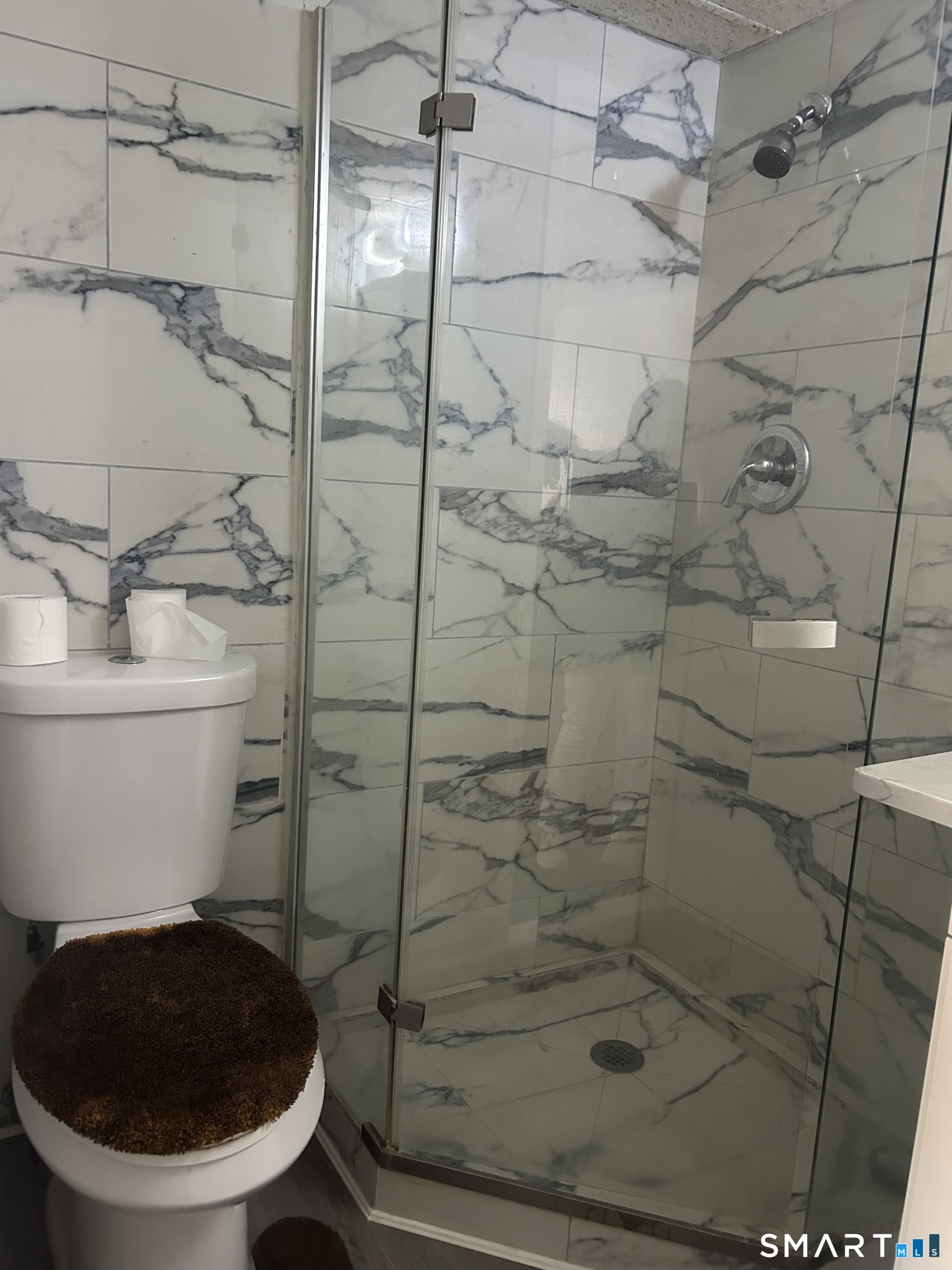 126 Triangle Street, Unit B13 Danbury, CT 06810 - Photo 13 of 20 a bathroom with a toilet and a shower