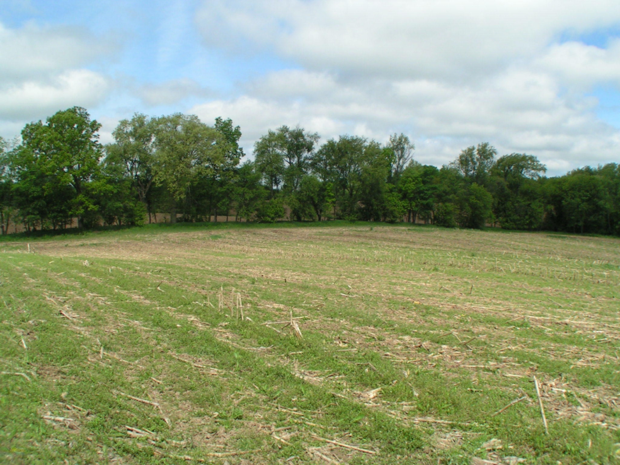 2215 Jefferson Road Ionia, MI 48846 - Photo 11 of 15 PICT0091