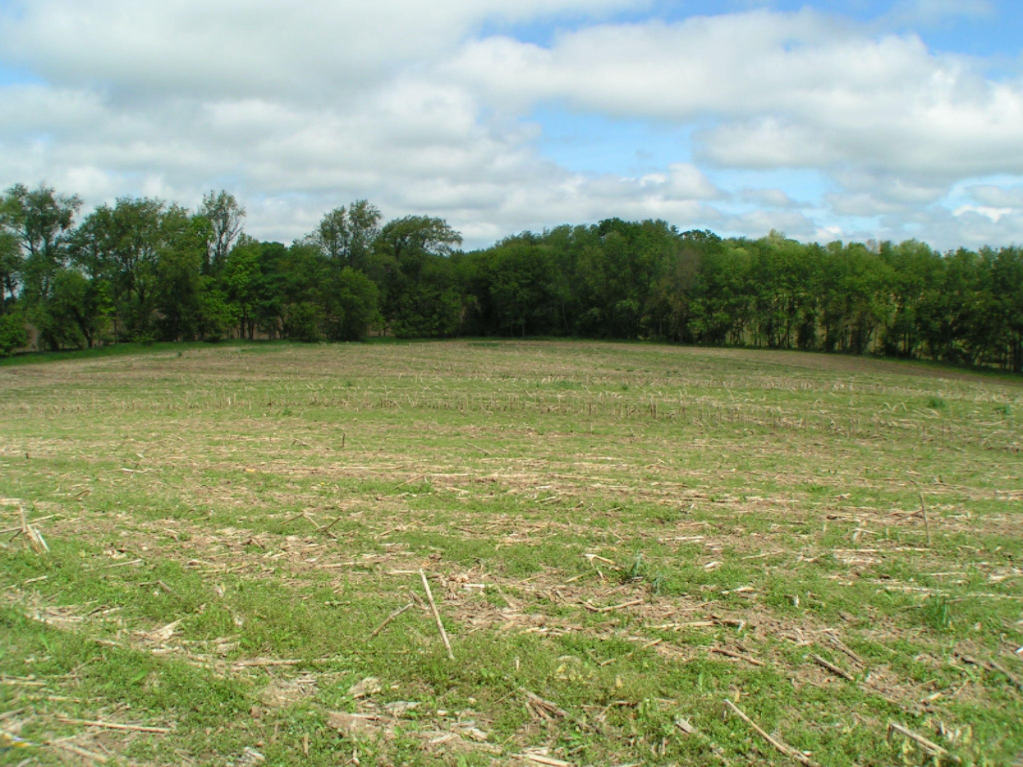 2215 Jefferson Road Ionia, MI 48846 - Photo 12 of 15 PICT0092