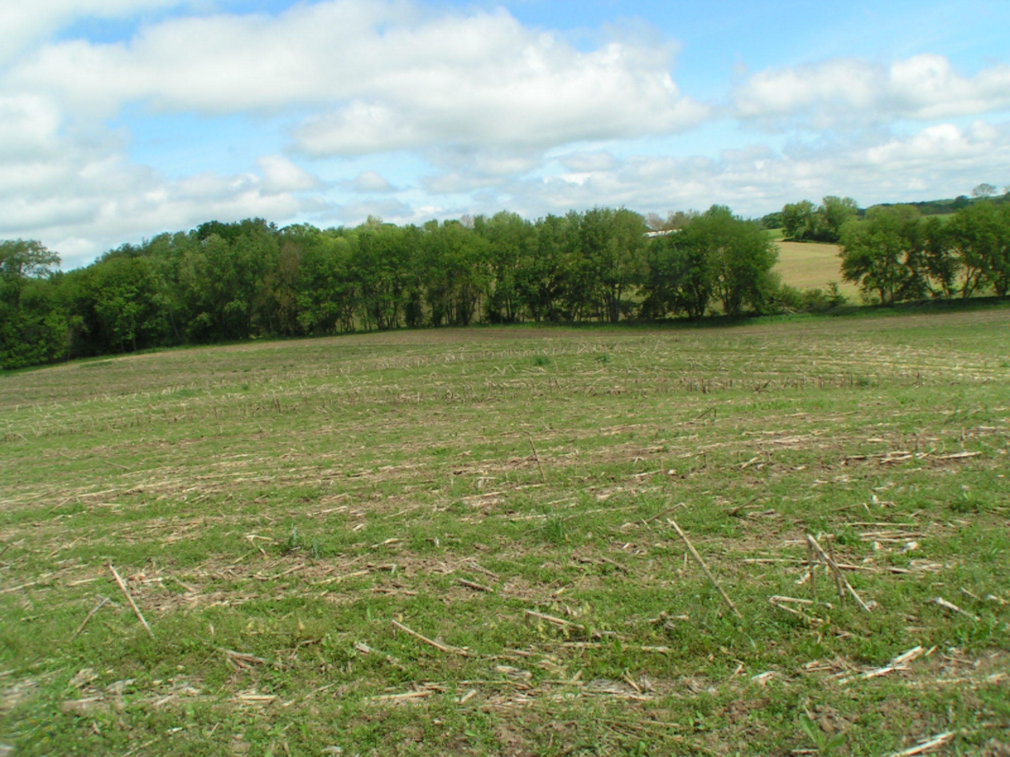 2215 Jefferson Road Ionia, MI 48846 - Photo 14 of 15 PICT0098