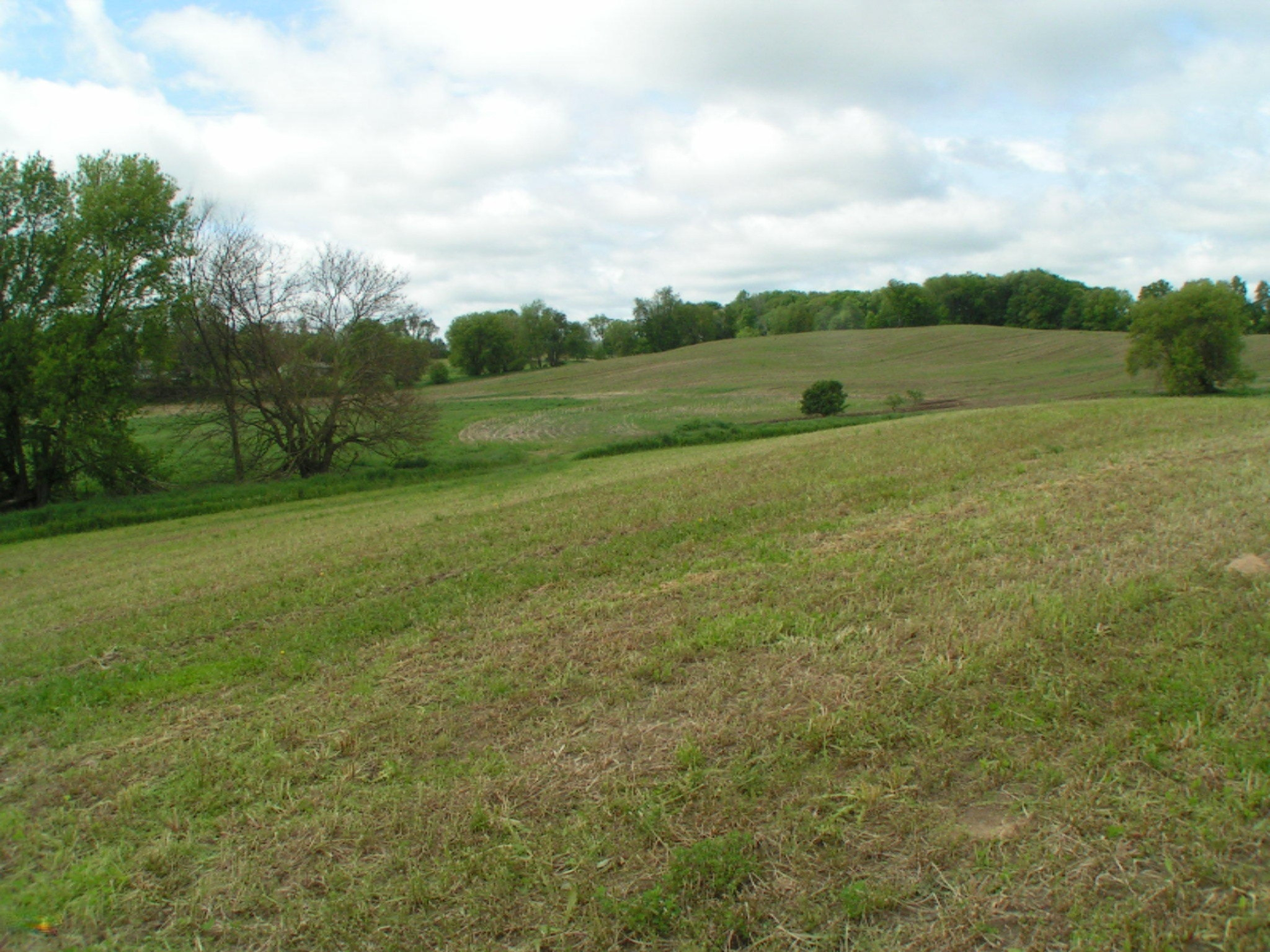 2215 Jefferson Road Ionia, MI 48846 - Photo 4 of 15 PICT0074