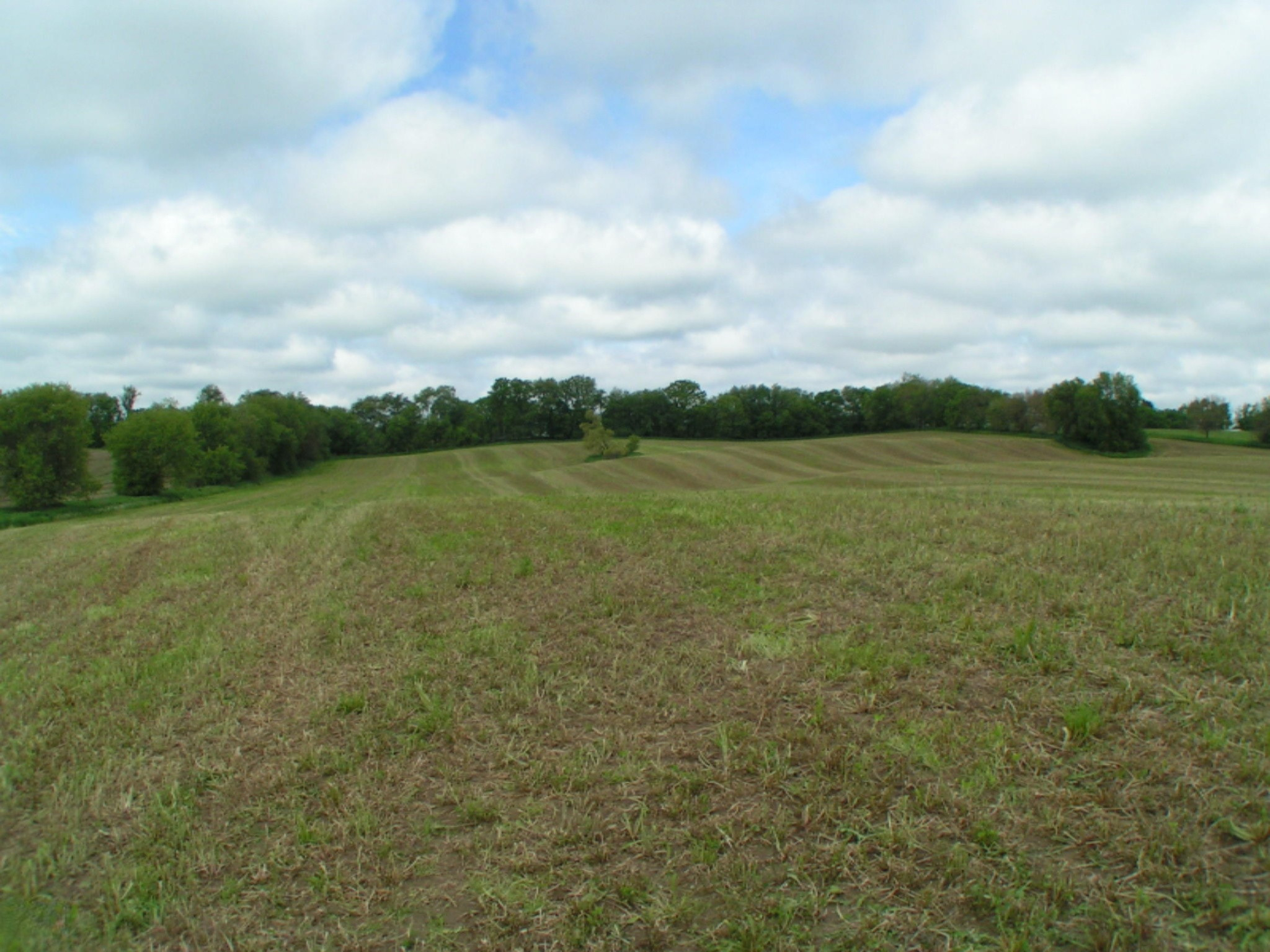 2215 Jefferson Road Ionia, MI 48846 - Photo 5 of 15 PICT0075