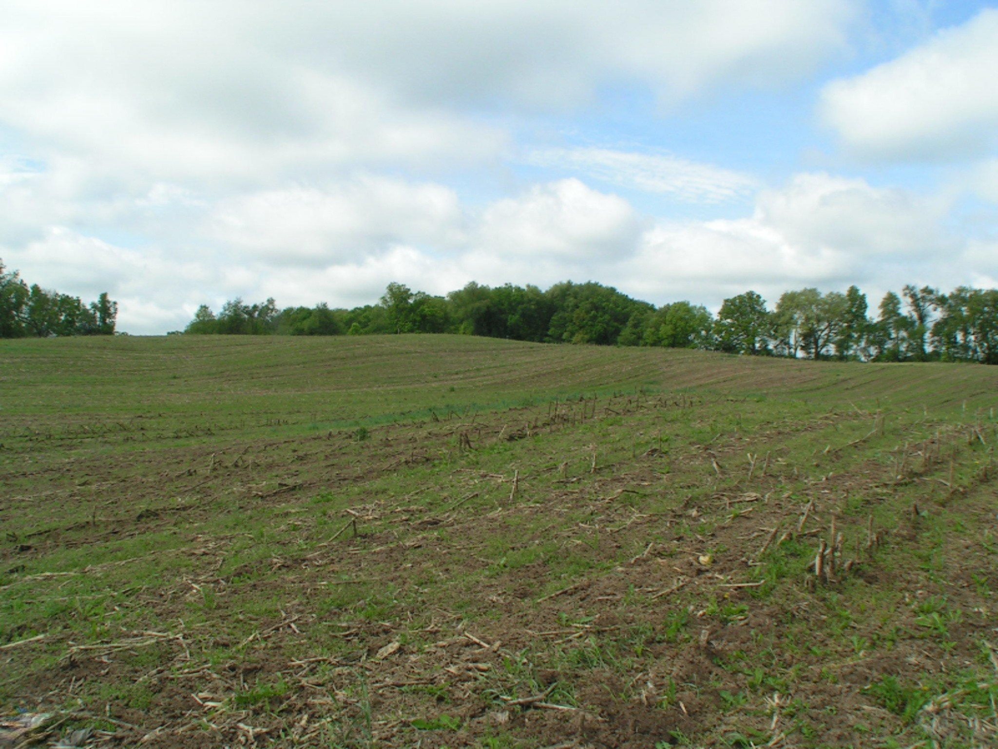 2215 Jefferson Road Ionia, MI 48846 - Photo 9 of 15 PICT0087