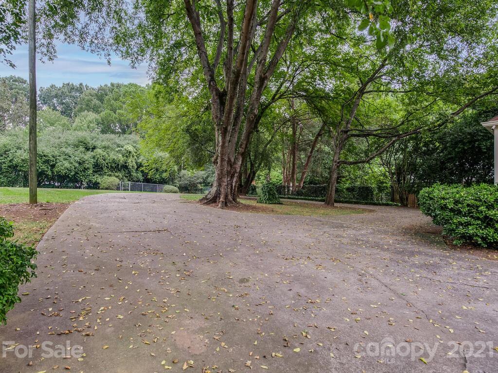 2930 Wickersham Road Charlotte, NC 28211 - Photo 22 of 25 a view of outdoor space with large trees
