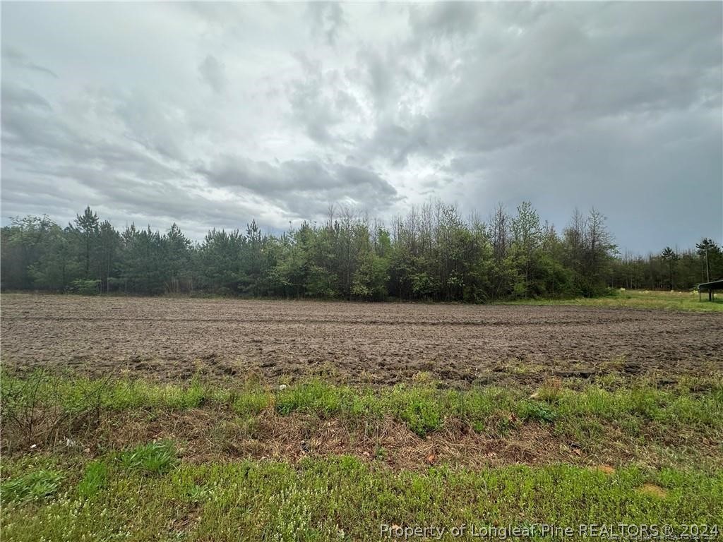 2735 North Hilltop Road Red Springs, NC 28377 - Photo 5 of 5