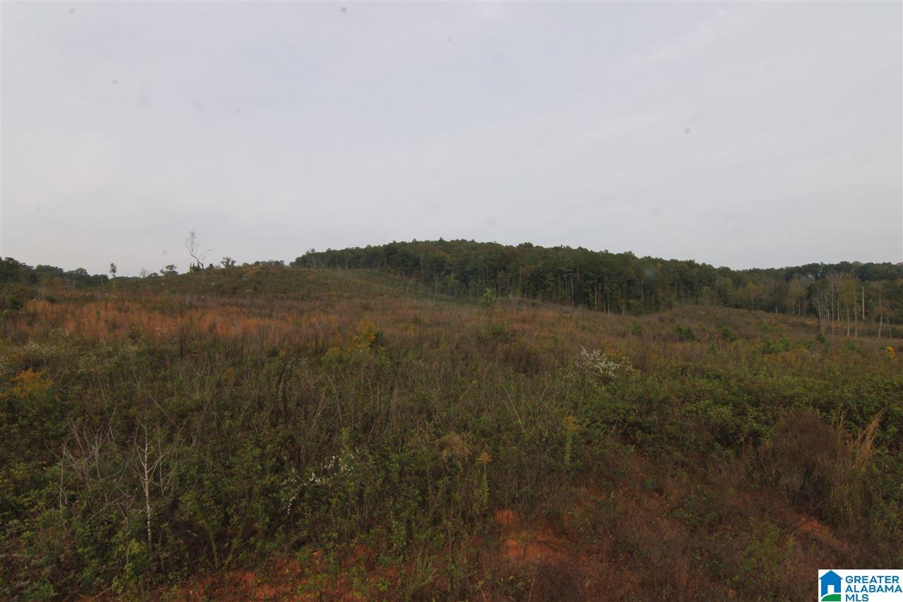 6317 County Road 10, Unit 60 Heflin, AL 36264 - Photo 2 of 6