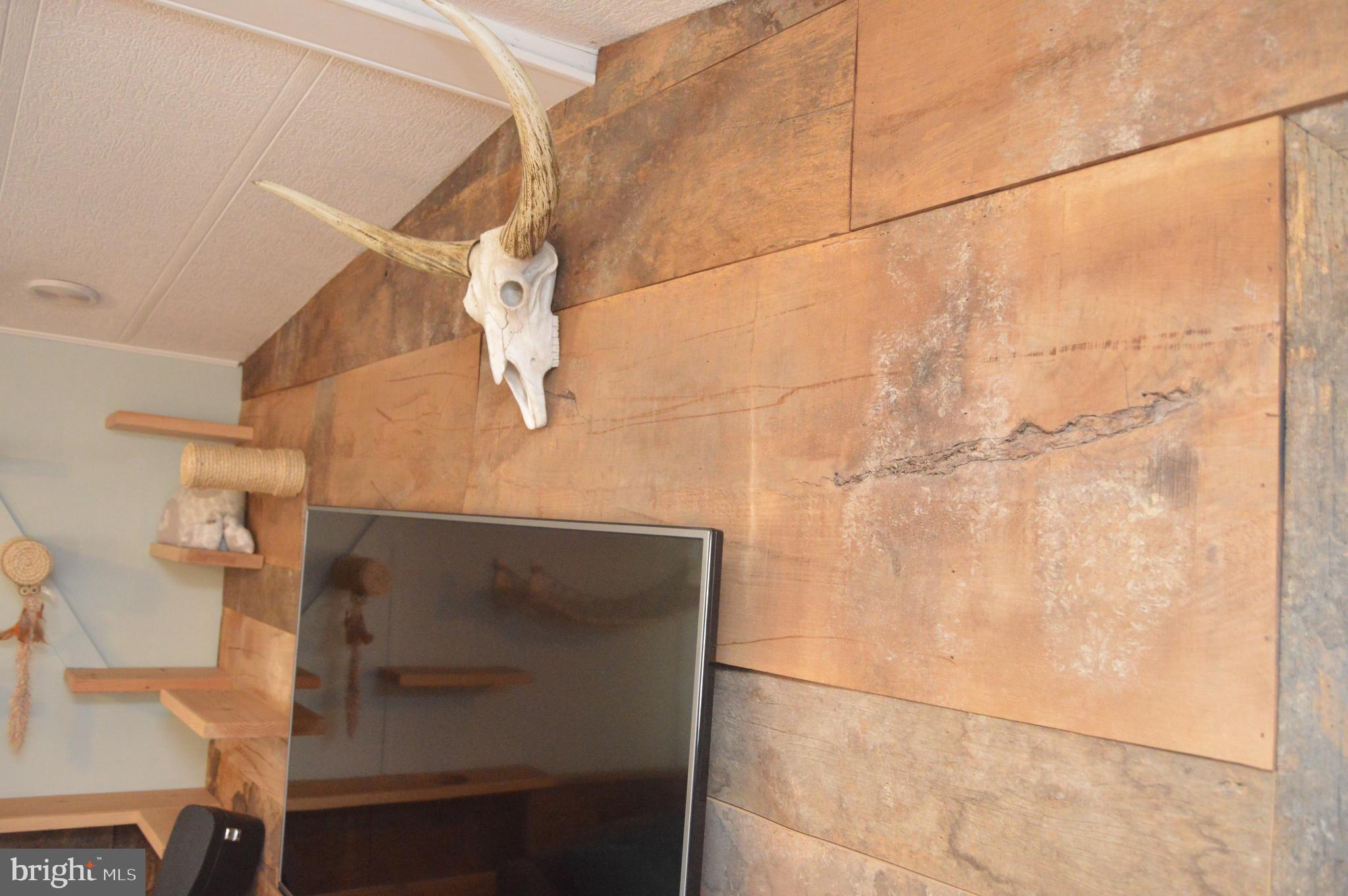 25 Bordic Road Reading, PA 19606 - Photo 4 of 40 Living Room - weathered barn flooring on wall