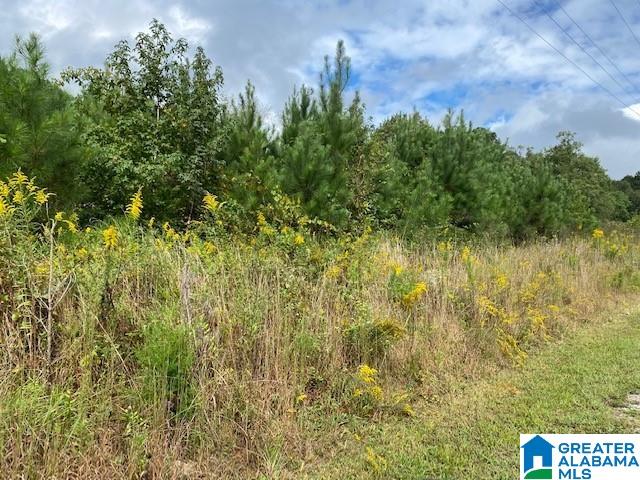 2941 County Line Drive, Unit COUNTY Trafford, AL 35172 - Photo 1 of 3