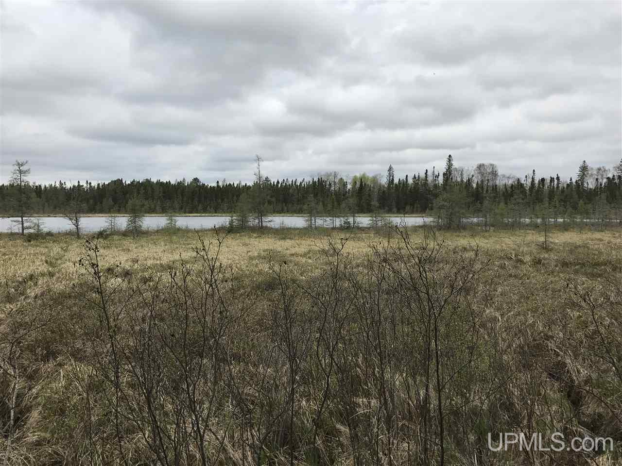 40-ac Kelso Road Crystal Falls, MI 49920 - Photo 5 of 21